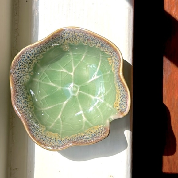 NEW Windowsill SUCCULENT 4" Anthropologie - Picture 3 of 13
